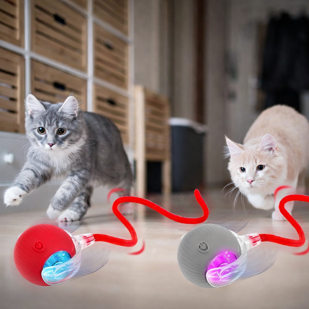 PurrRoller™ – Jouw kat speelt urenlang zelfstandig – jij hoeft er niets voor te doen